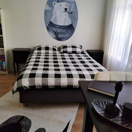 Studio White Bears آكيورِيْري المظهر الخارجي الصورة