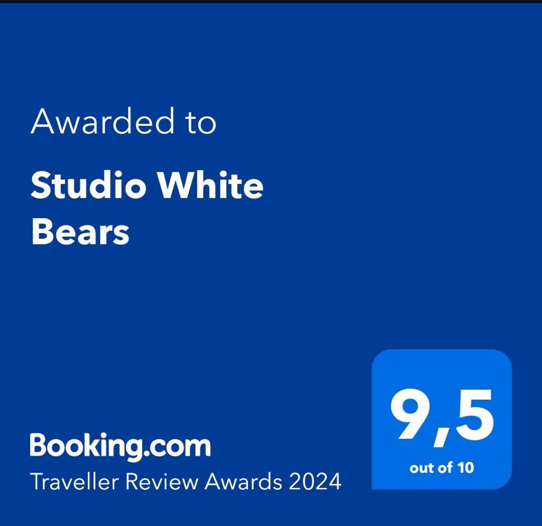 Studio White Bears آكيورِيْري المظهر الخارجي الصورة